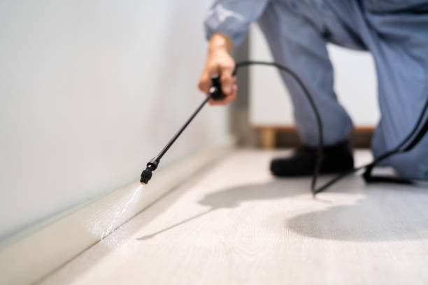 Bed Bug Pre-Treatment Preparation Assessment in Childress