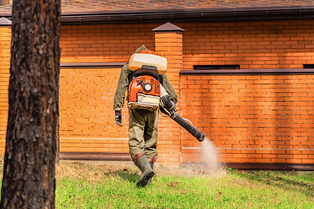 Bed Bug Clearance Verification and Documentation in Childress